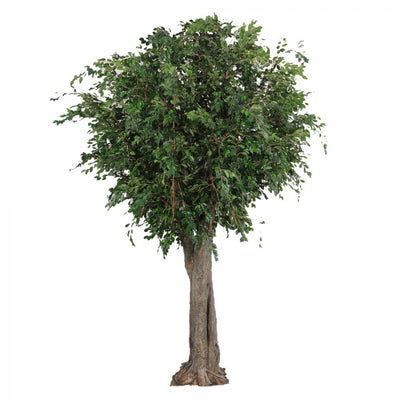 Artificial 6M Giant Ficus Exotica Tree 27072 Lvs - House of Isabella AU