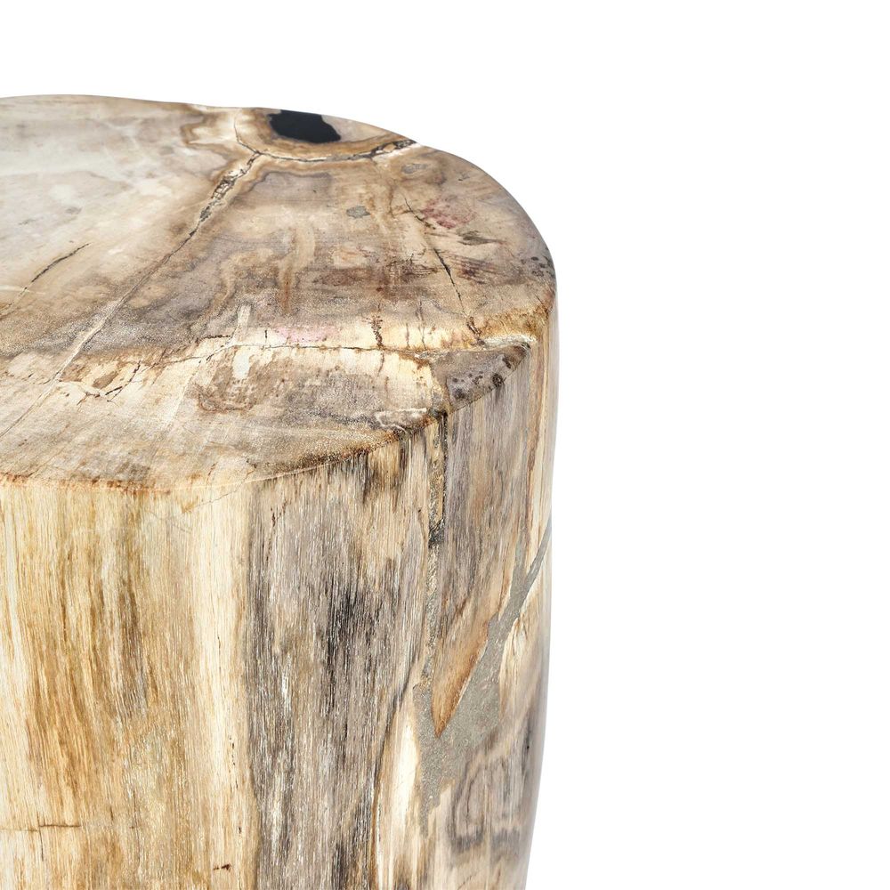 Petrified Wood Table Natural No. 6