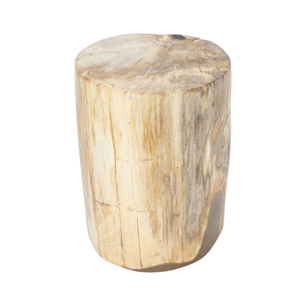 Petrified Wood Table Natural No. 6