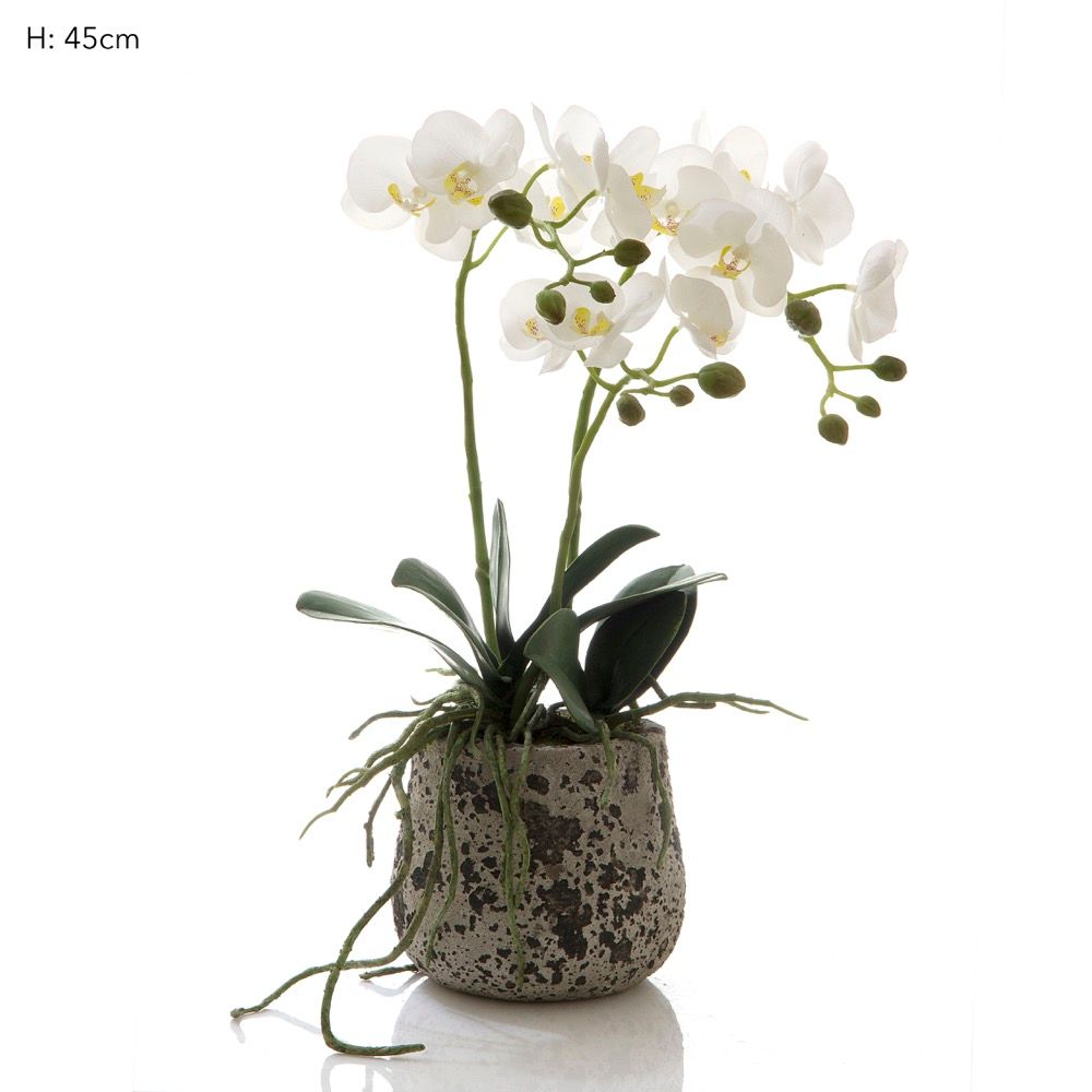 Orchid in Ceramic Pot White - House of Isabella AU