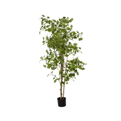 Artificial Ginko Tree Potted 1.8m