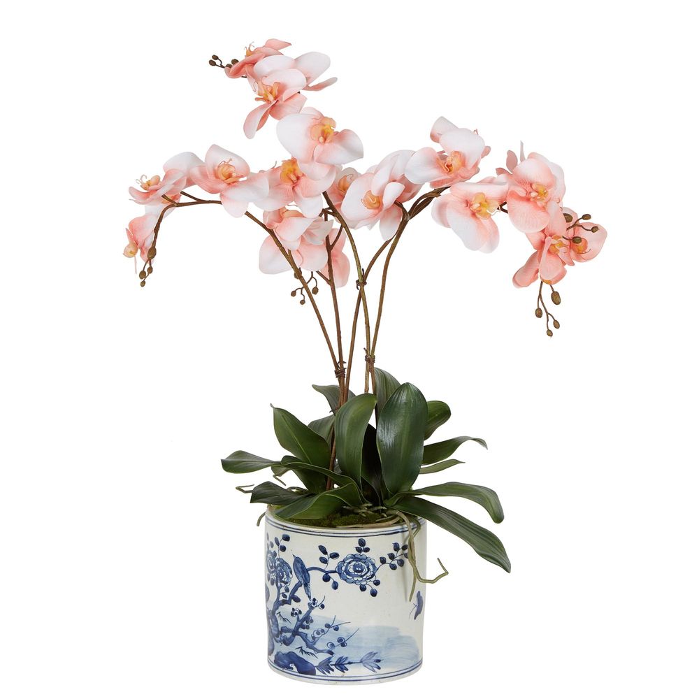 Artificial Cheng Orchid Arrangement Coral