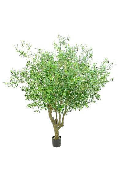 Artificial Giant Olive Tree With 9384 Leaves 216 Fruits Green 153cm