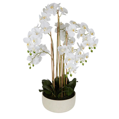 Artificial Orchid Potted Real Touch 100cm White