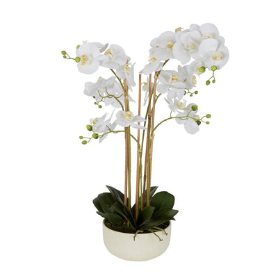 Artificial Orchid Potted Real Touch 71cm White