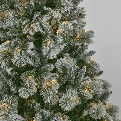 Norwegian Snowy Pine Tree 210cm With 450 LED