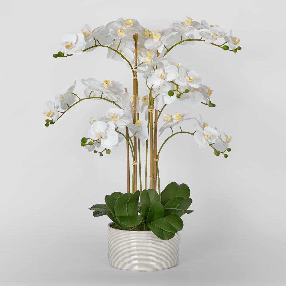 Artificial Luxe Phalaenopsis in Ribbed Bowl-9 Stems