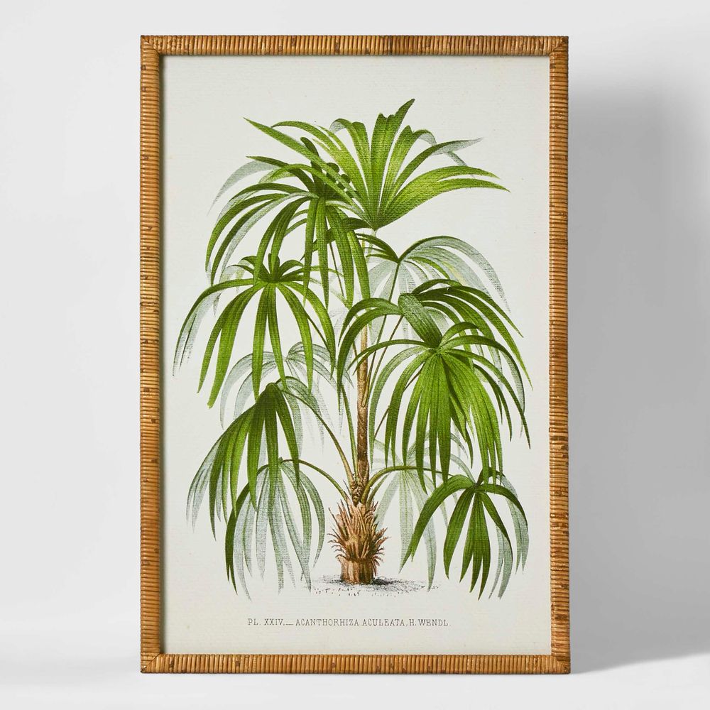 Palm Botanical Wall Art B