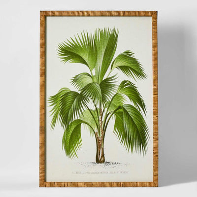 Palm Botanical Wall Art A