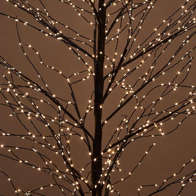 Black Forest Light Up Tree Large 180cm