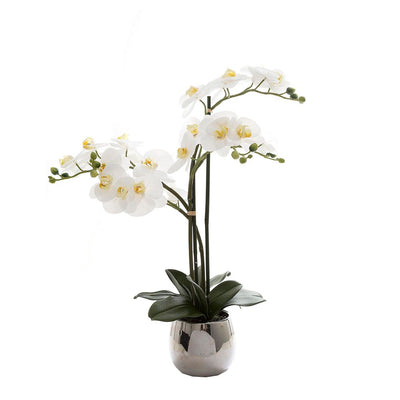 Pack of 4 x Phalaenopsis Real Touch Silver Pot 67cm White