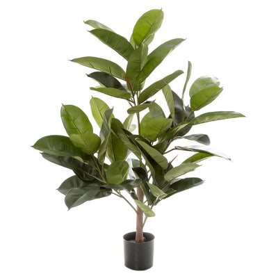 Pack of 2 x Rubber Plant Tree 96cm