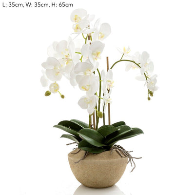 Orchid in Stone Pot Med White - House of Isabella AU
