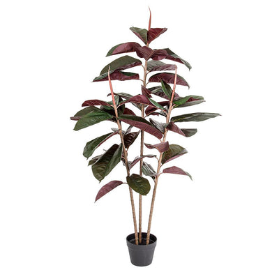 Rubber Tree Real Touch 1.45m - House of Isabella AU