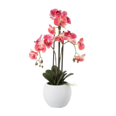 Pack of 4 x Orchid in White Pot Large 65cm Pink