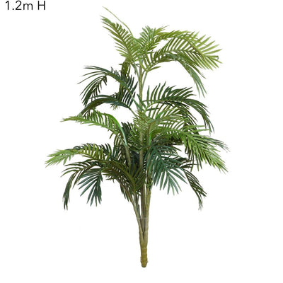 Areca Palm x 5 - 1.2m - House of Isabella AU
