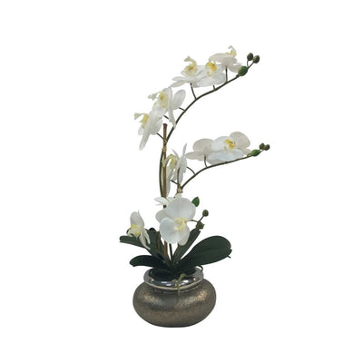 Orchid Phalaenopsis Ant Bowl Sml - House of Isabella AU