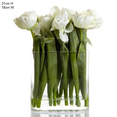 Tulip in Water in Vase White - House of Isabella AU