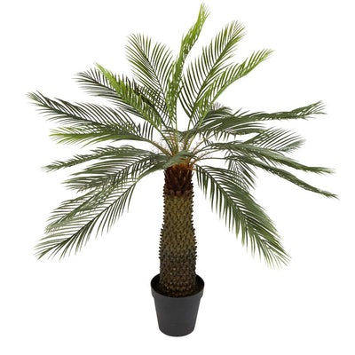 Sago Palm Cycad Tree 1.40m