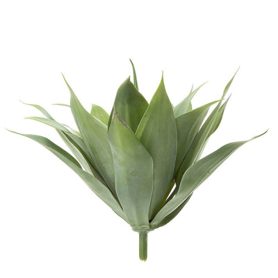 Pack of 2 x Agave Bush 41cm W/19 Leaves Green