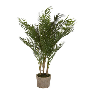 Pack of 2 x Small Palm in Cement Pot