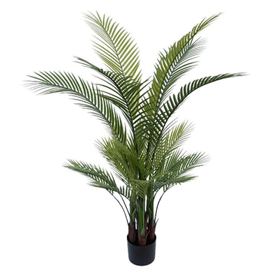 Pack of 2 x Palm Tree In Black Pot 130cm