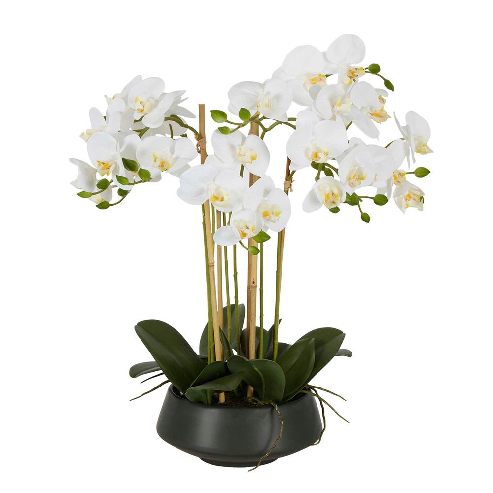 White Orchid in Black Pot Large