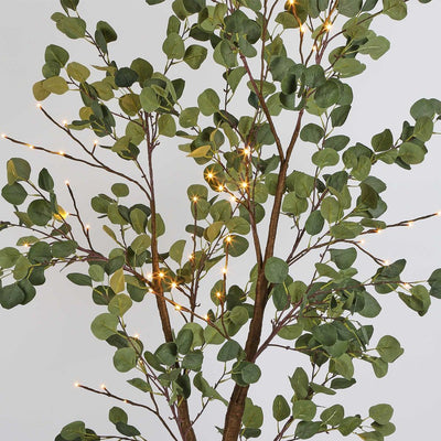 Killara LED Eucalyptus Tree 180cm