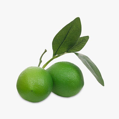 12 x Fruit Lime Cluster w/leaf