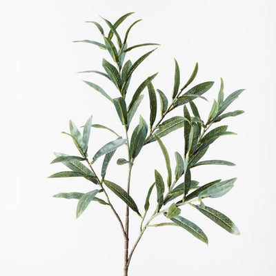 12 x Olive Leaf Spray