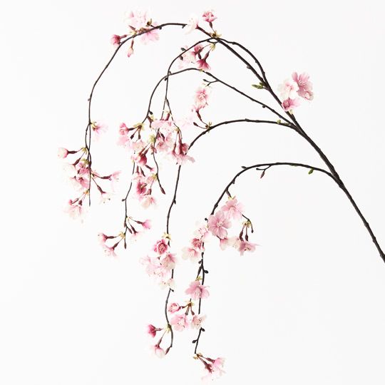 12 x Blossom Cherry Hanging