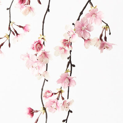 12 x Blossom Cherry Hanging