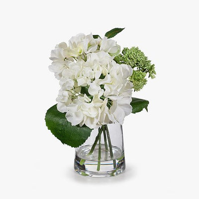 1 x Hydrangea Sedum Mix in Vase