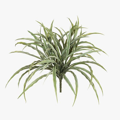 12 x Grass Vanilla Bush