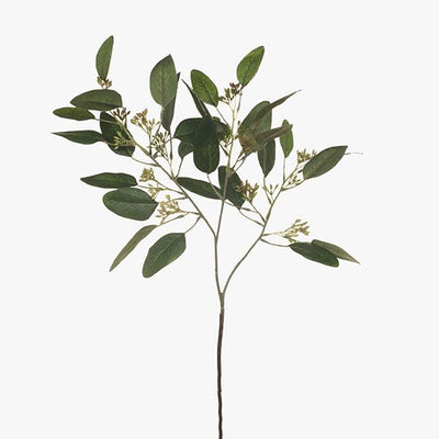 24 x Eucalyptus Leaf & Seed