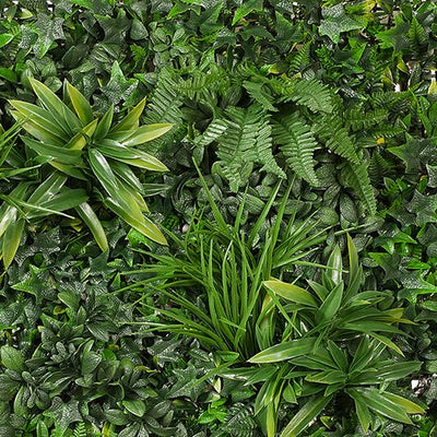 2 x Fern Mixed Vertical Garden (UV)