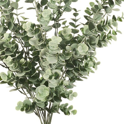 12 x Eucalyptus Bush