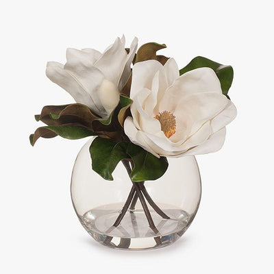 1 x Magnolia Grandiflora in Ball Vase