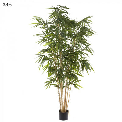 Artificial Giant Bamboo Tree 2.4m - House of Isabella AU