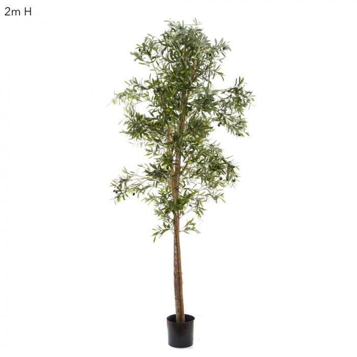 Artificial Olive Tree 2m - House of Isabella AU