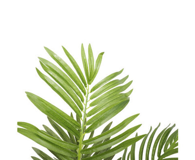 Artificial Potted Areca Palm Tree 120cm