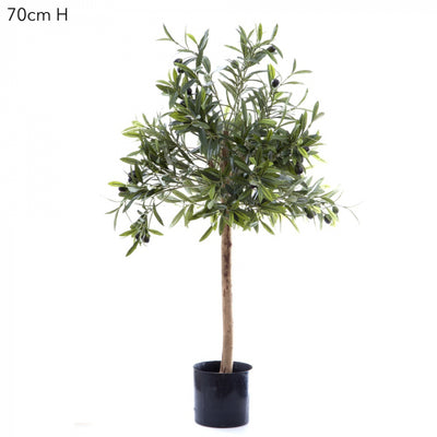 Artificial Olive Greeb Topping Tree 70cm - House of Isabella AU