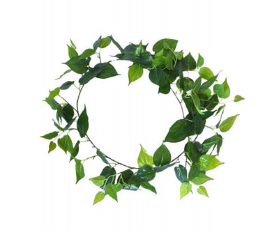 Long Philodendron Garland 190cm
